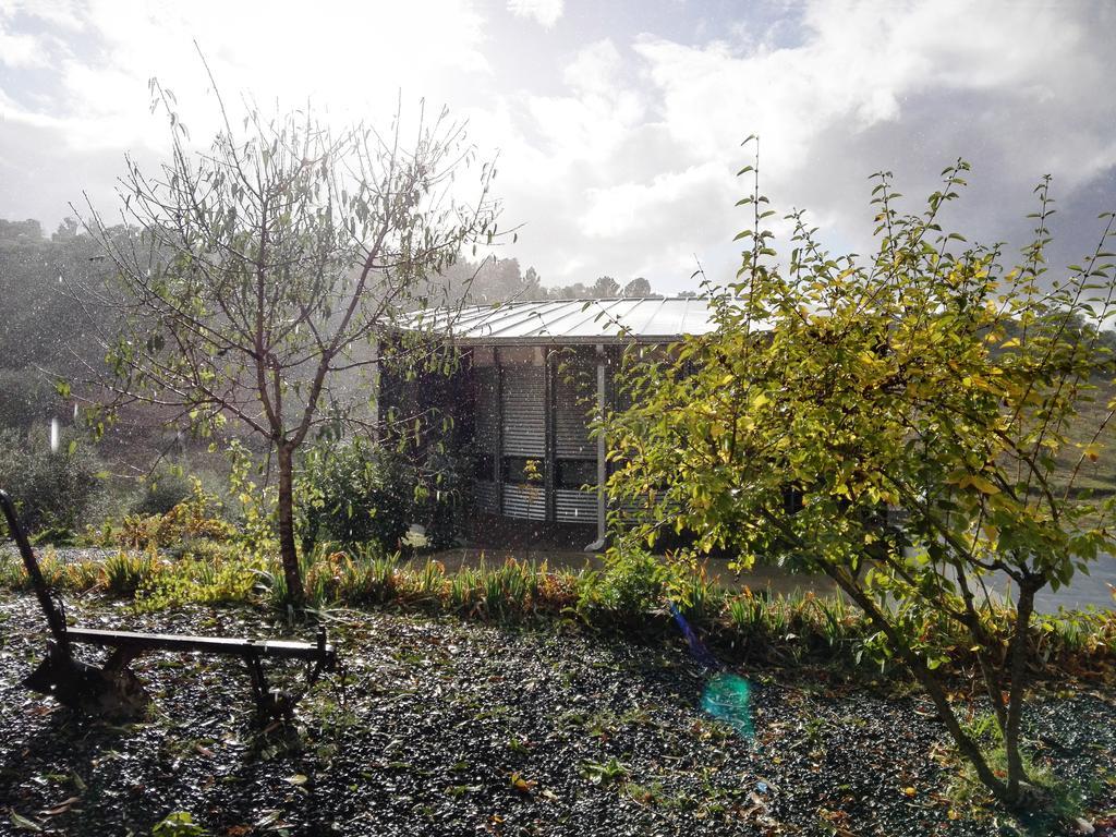Bela Vista Silo Housing Villa Alfândega da Fé Exteriör bild