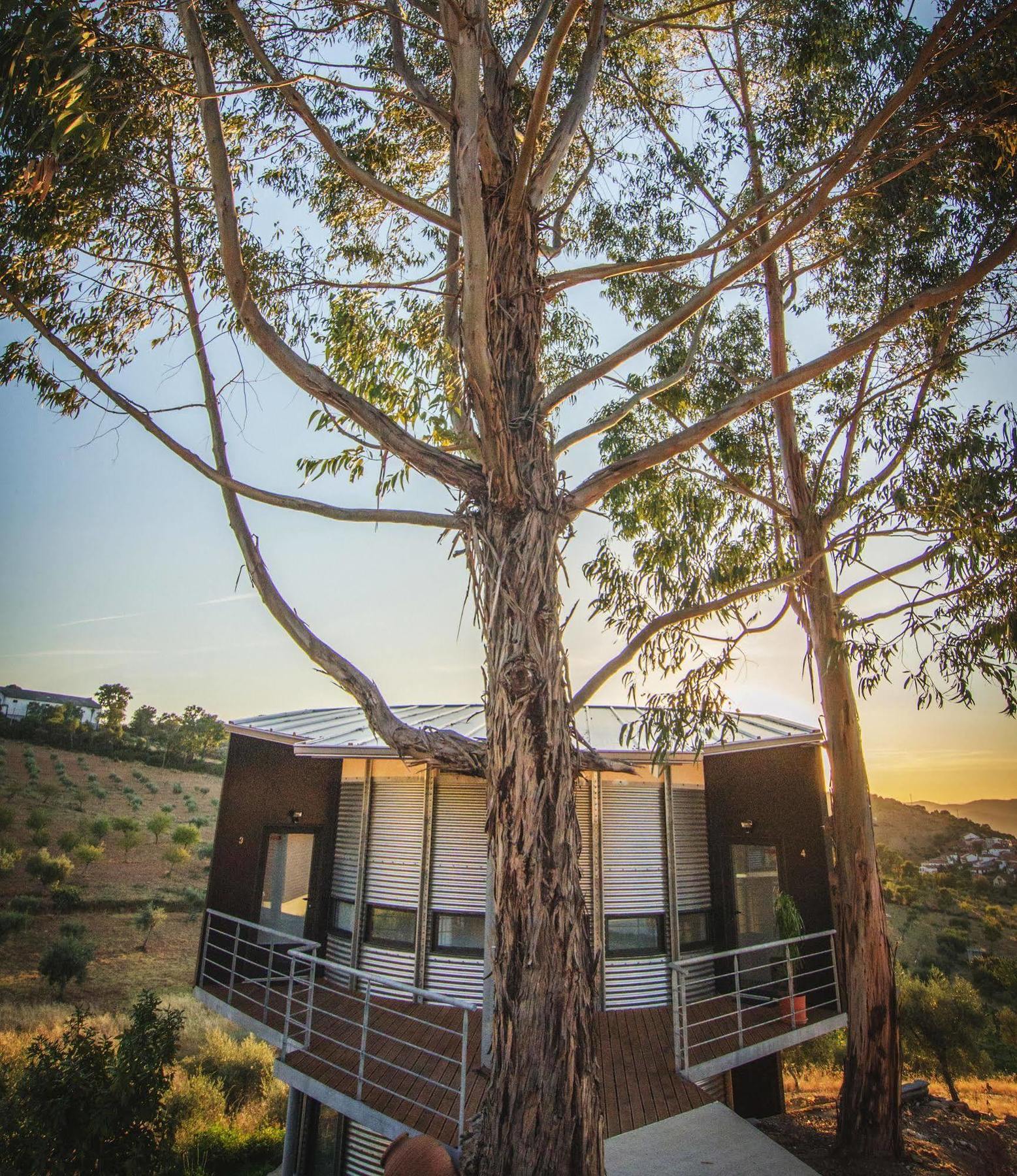 Bela Vista Silo Housing Villa Alfândega da Fé Exteriör bild